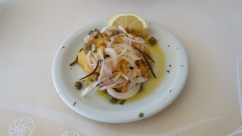 FAVA