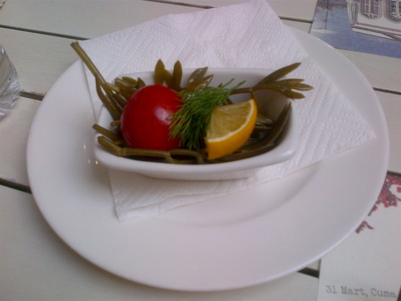 KAYA KORUĞU NATUREL